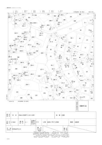 427.11㎡ Land for Sale in Sashiki, Nanjo City, Okinawa - Thumbnail 4