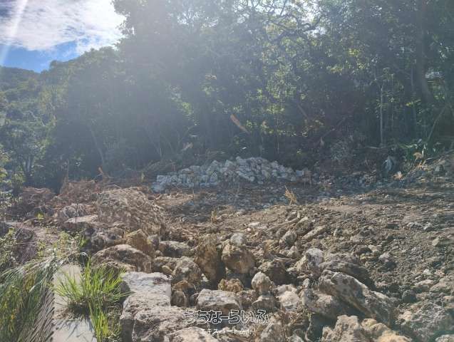 427.11㎡ Land for Sale in Sashiki, Nanjo City, Okinawa - Thumbnail 3