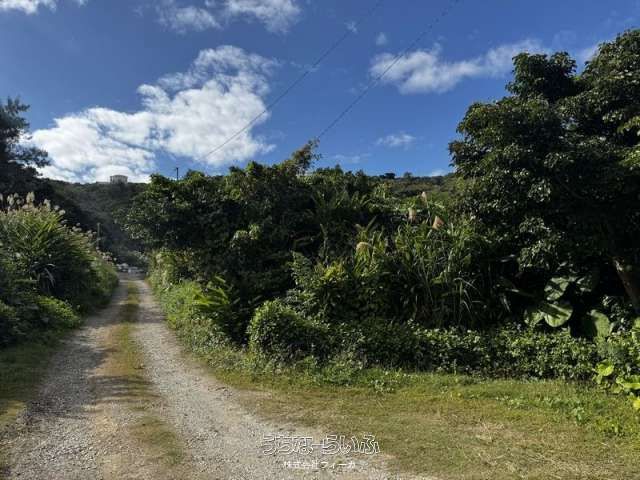 466 sqm Land for Sale in Tsuba, Nakagusuku Village, Okinawa - Thumbnail 2