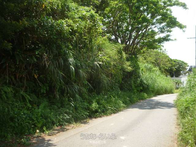 168m² Land for Sale in Yaka, Kin Town, Okinawa - Thumbnail 2