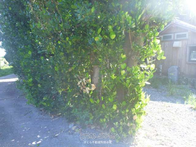 498.49㎡ Land for Sale in Sesoko, Motobu Town, Okinawa - Thumbnail 2