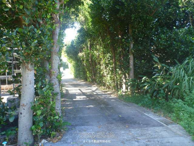 498.49㎡ Land for Sale in Sesoko, Motobu Town, Okinawa - Thumbnail 3