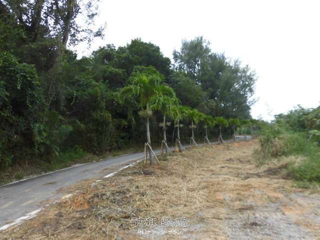 330m² Land for Sale in Nago City, Okinawa Near Beach - Thumbnail 2