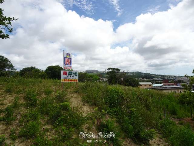 1247.93 sqm Agricultural Land for Sale in Nishihara, Okinawa - Thumbnail 3
