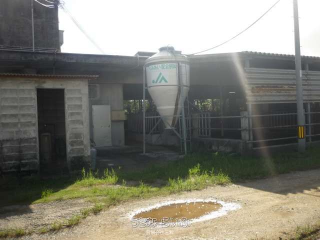 26,815 sqm Agricultural Land with Income in Onna Village, Okinawa - Thumbnail 2