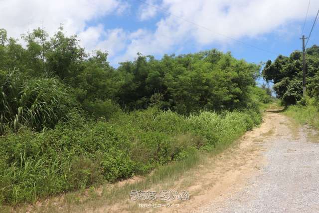 1881 sqm Residential Land for Sale in Miyakojima, Okinawa - Thumbnail 2