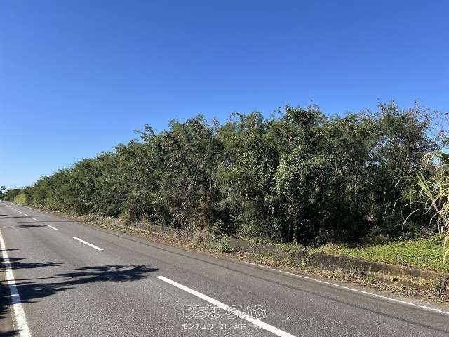 Land for Sale in Miyakojima with Future National Park Frontage - Thumbnail 2