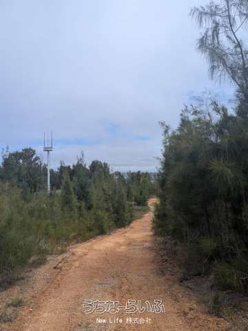 21,082 sqm Land for Resort Development in Nago, Okinawa - Thumbnail 4