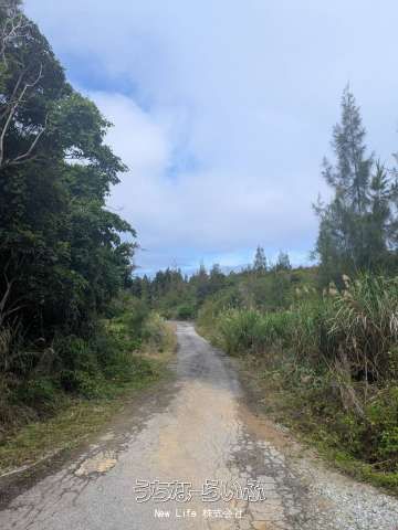 21,082 sqm Land for Resort Development in Nago, Okinawa - Thumbnail 2