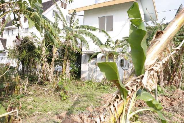 315 sqm Land for Sale in Onna Village, Okinawa Resort Area - Thumbnail 4
