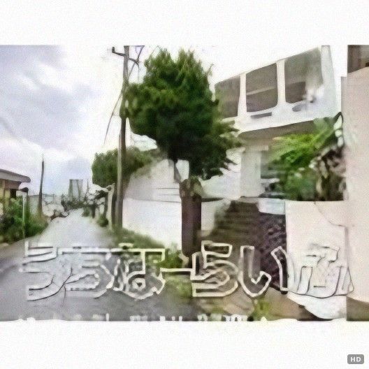 Former Minpaku Guesthouse for Sale in Miyakojima, Okinawa - Thumbnail 3