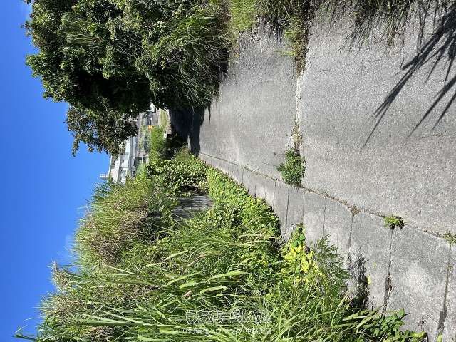 624m² Land Plot in Goya, Okinawa City - Parking/Yard Use - Thumbnail 2