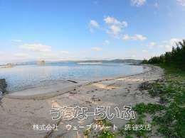 33,648 sqm Coastal Land for Resort Development in Nago, Okinawa - Thumbnail 4