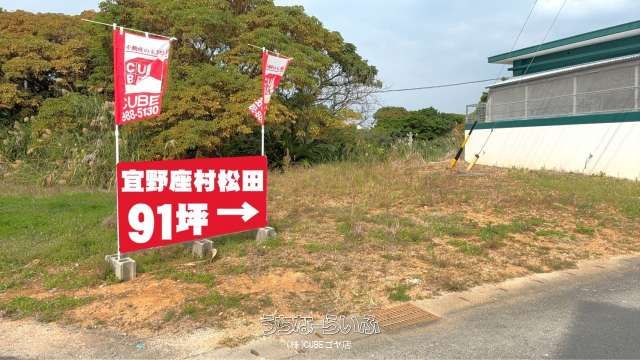 302 sqm Land for Sale in Matsuda, Ginoza Village, Okinawa - Thumbnail 4