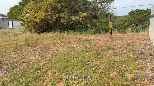 302 sqm Land for Sale in Matsuda, Ginoza Village, Okinawa - Thumbnail 2
