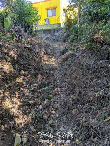 7,059 sqm Land for Sale in Nakijin Village, Okinawa - Thumbnail 4