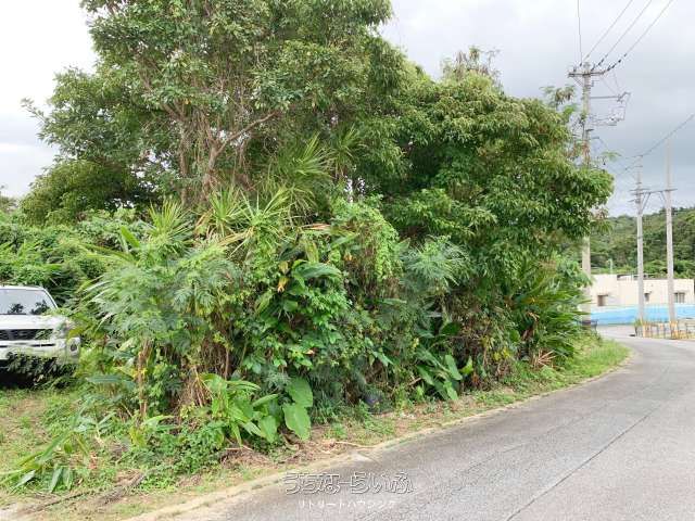 400m² Land for Sale in Onna Village, Okinawa - Near Cape Maeda - Thumbnail 4