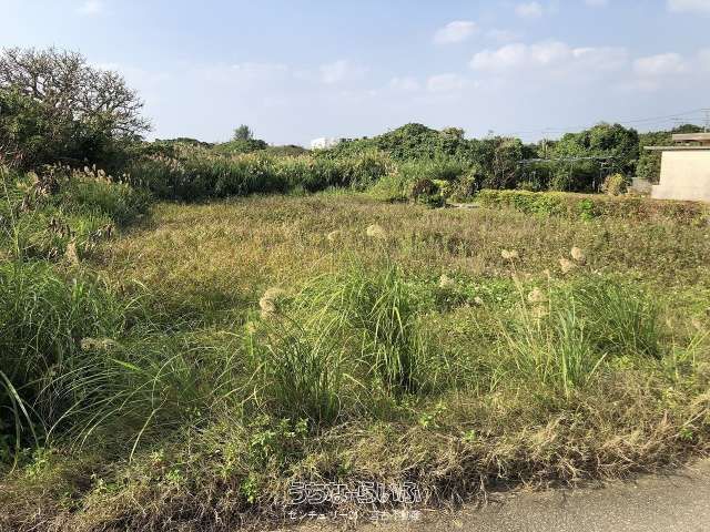 6919 sqm Agricultural Land for Sale in Miyakojima City, Okinawa - Thumbnail 2