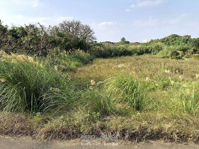 6919 sqm Agricultural Land for Sale in Miyakojima City, Okinawa - Thumbnail 3