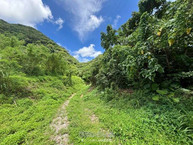 Land for Sale in Nakijin Village, Okinawa - 19,656 sqm - Thumbnail 2