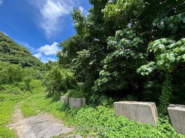 Land for Sale in Nakijin Village, Okinawa - 19,656 sqm - Thumbnail 3