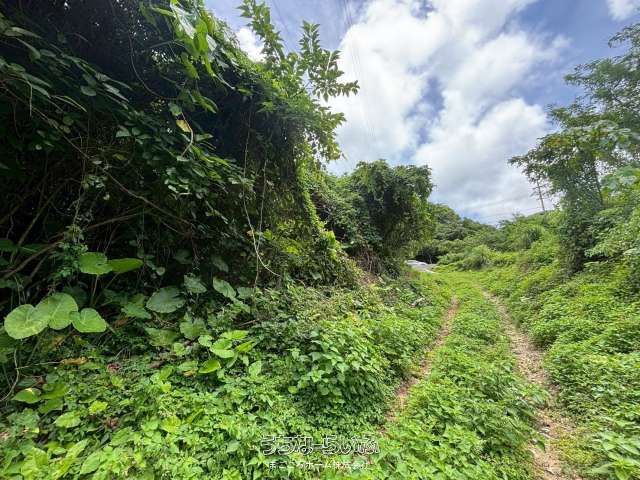 Land for Sale in Nakijin Village, Okinawa - 19,656 sqm - Thumbnail 4
