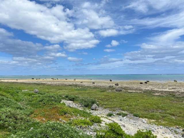 5,758 sqm Land for Sale in Shiraho, Ishigaki City, Okinawa - Thumbnail 3