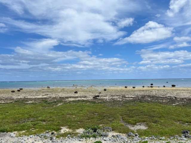 5,758 sqm Land for Sale in Shiraho, Ishigaki City, Okinawa - Thumbnail 4