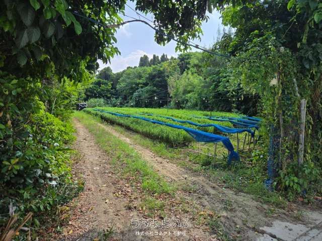 677m² Development Land for Sale in Nago City, Okinawa - Thumbnail 2