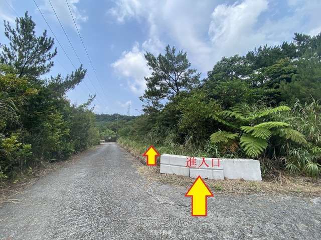 67,213 sqm Land for Sale in Ogimi Village, Okinawa - Thumbnail 2