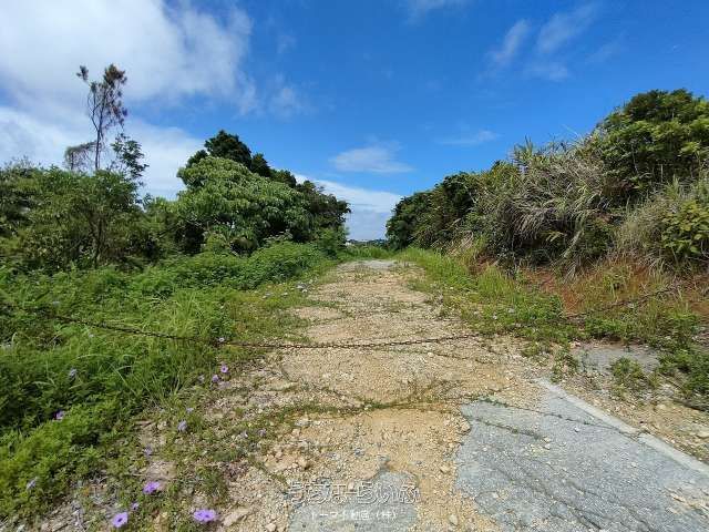 24,511 sqm Development Land for Sale in Kin Town, Okinawa - Thumbnail 3