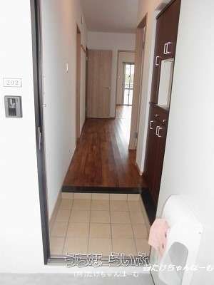 South Soleil 202: 2LDK Apartment for Rent in Naha, Okinawa - Thumbnail 4