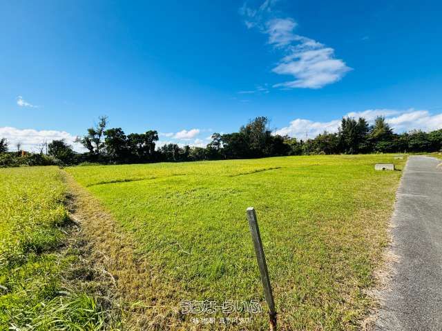 1016 Tsubo Agricultural Land for Sale in Kin Town, Okinawa - Thumbnail 4