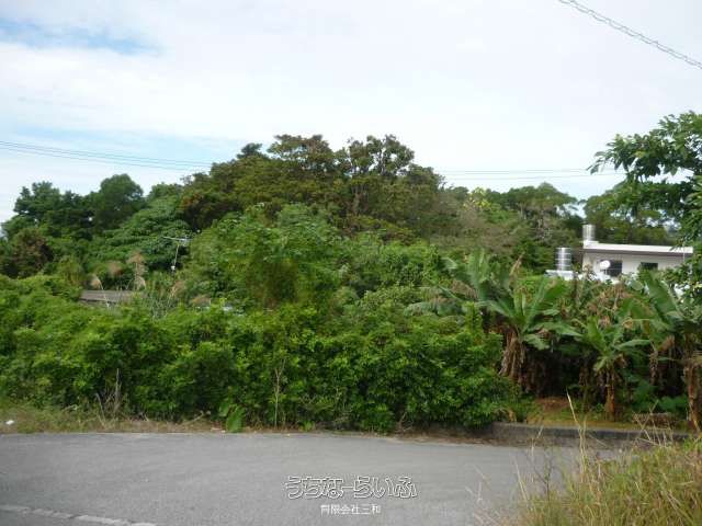 4217 sqm Development Land for Sale in Onna Village, Okinawa - Thumbnail 3