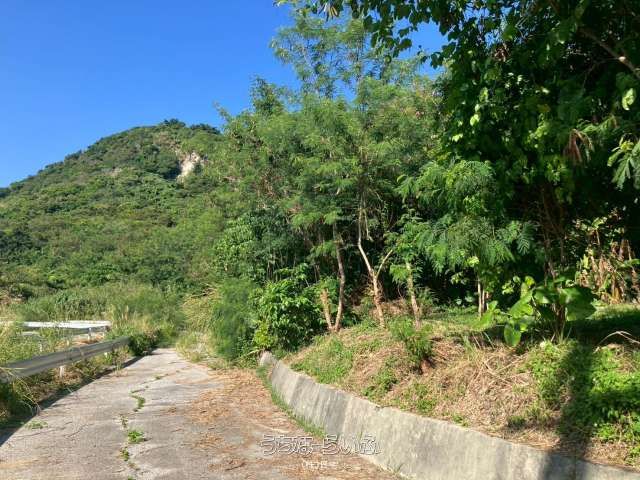 2742 sqm Farmland for Sale in Nanjo City, Okinawa - Thumbnail 3