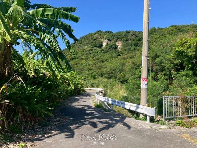 2742 sqm Farmland for Sale in Nanjo City, Okinawa - Thumbnail 4