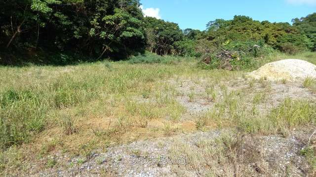 1478.83㎡ Land Plot for Sale in Nago City, Okinawa - Image 1