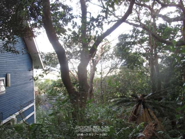 416m² Land for Sale in Nakijin Village, Okinawa - Thumbnail 2