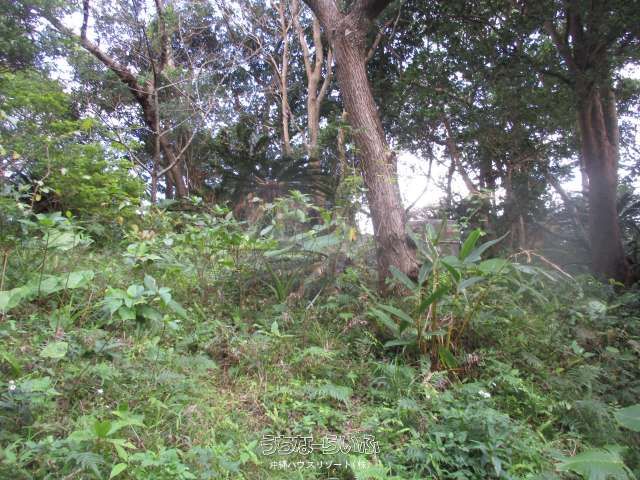 416m² Land for Sale in Nakijin Village, Okinawa - Thumbnail 4