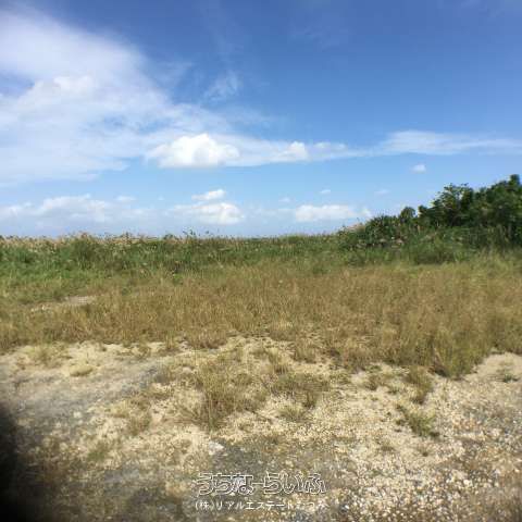 11,893 sqm Beachfront Land for Sale on Iriomote Island, Okinawa - Thumbnail 3