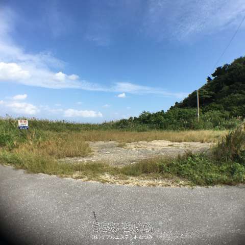 11,893 sqm Beachfront Land for Sale on Iriomote Island, Okinawa - Thumbnail 4