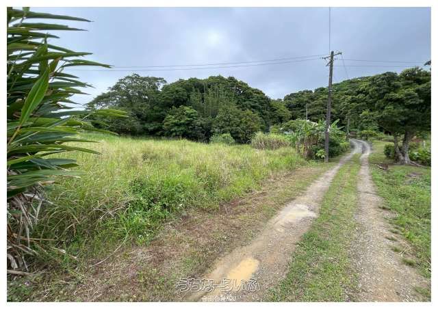 677 sqm Land for Sale in Nakijin Village, Okinawa - Image 1