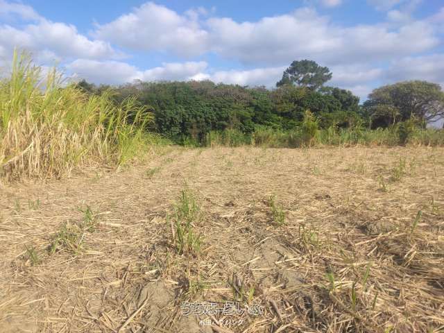 208.3m² Land for Sale in Tomori, Yomitan Village, Okinawa - Thumbnail 2