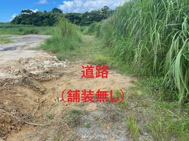 Agricultural Land for Sale on Yagaji Island, Nago, Okinawa - Thumbnail 4
