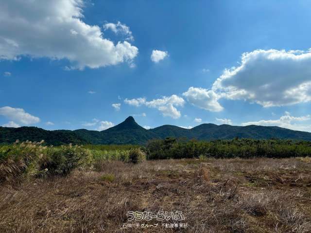 9907 sqm Land for Sale in Noso, Ishigaki City, Okinawa - Thumbnail 2