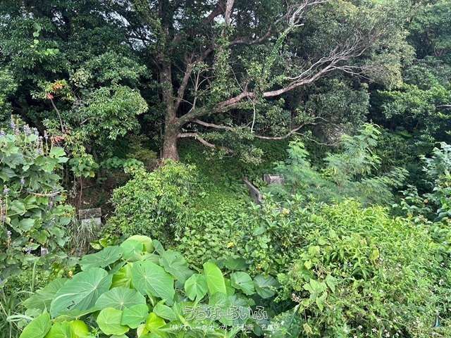 Large 3826m² Development Land for Sale in Nago, Okinawa - Thumbnail 4