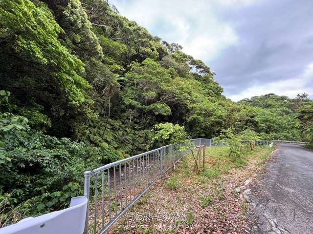 47,131 sqm Development Land for Sale in Motobu, Okinawa - Thumbnail 2