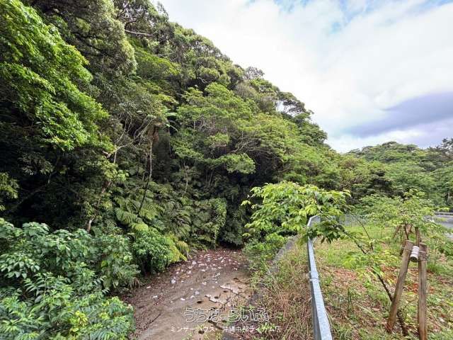 47,131 sqm Development Land for Sale in Motobu, Okinawa - Image 1