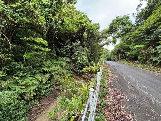 47,131 sqm Development Land for Sale in Motobu, Okinawa - Thumbnail 3
