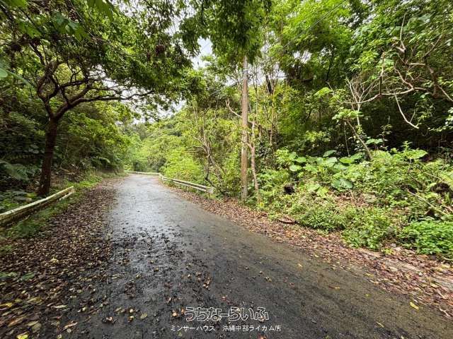 47,131 sqm Development Land for Sale in Motobu, Okinawa - Thumbnail 4